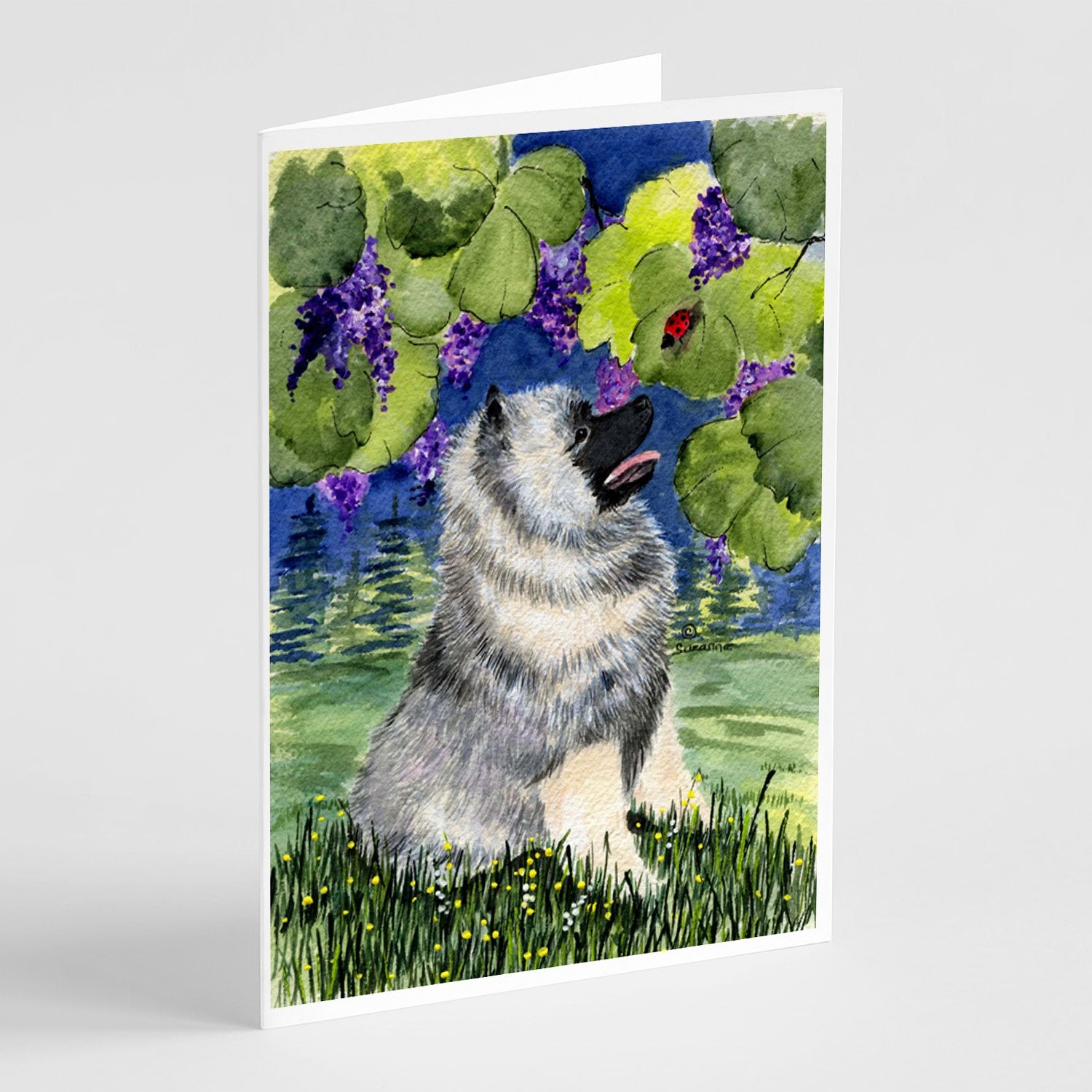 Buy this Keeshond Greeting Cards and Envelopes Pack of 8