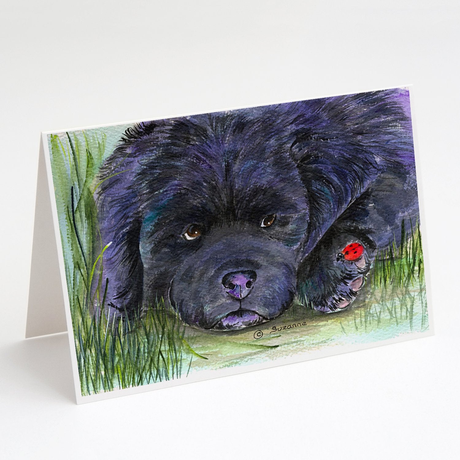 Buy this Newfoundland Greeting Cards and Envelopes Pack of 8