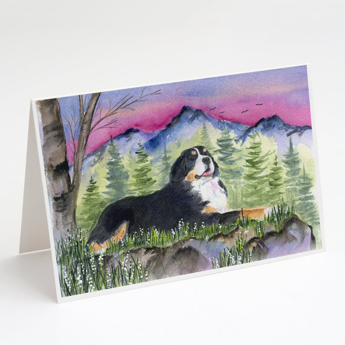 Buy this Bernese Mountain Dog Greeting Cards and Envelopes Pack of 8