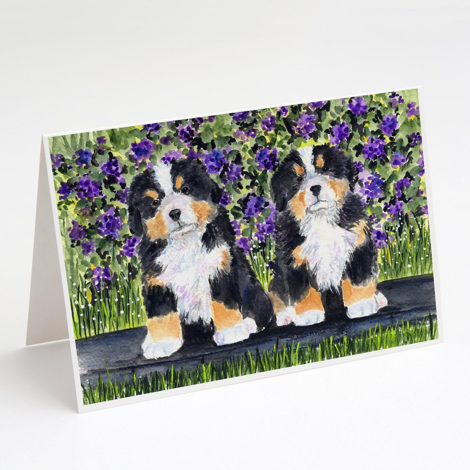 Buy this Bernese Mountain Dog Greeting Cards and Envelopes Pack of 8