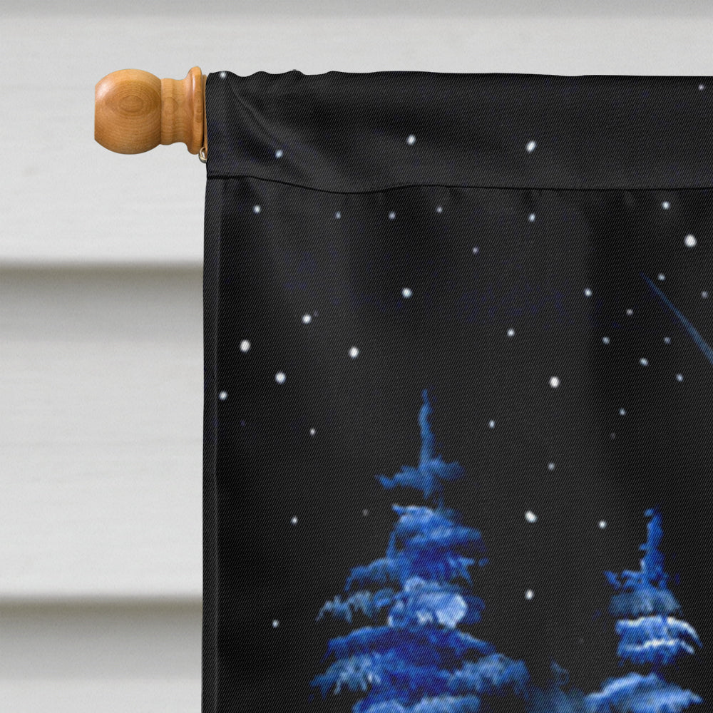 Starry Night Dachshund Flag Canvas House Size  the-store.com.