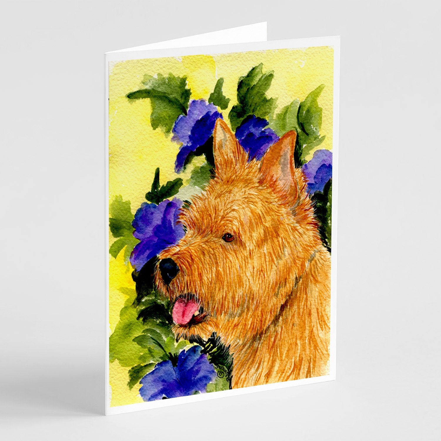 Buy this Norwich Terrier Greeting Cards and Envelopes Pack of 8