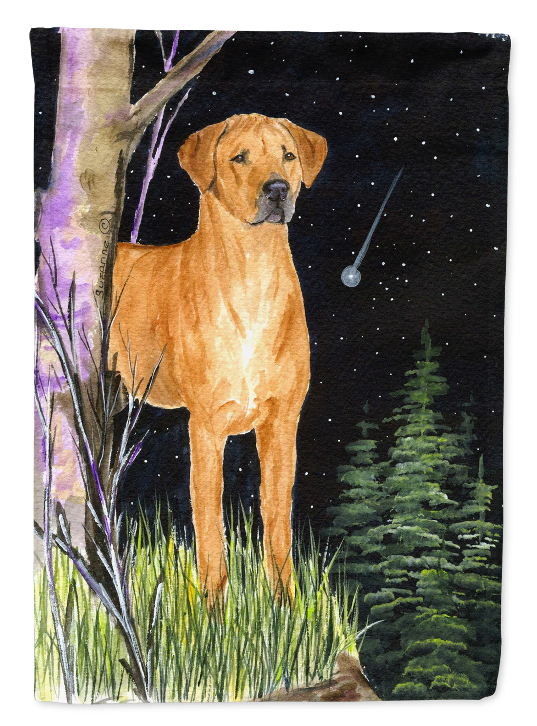 Starry Night Rhodesian Ridgeback Flag Canvas House Size  the-store.com.