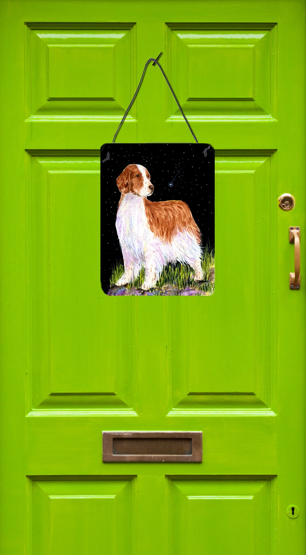 Starry Night Welsh Springer Spaniel Aluminium Metal Wall or Door Hanging Prints by Caroline's Treasures