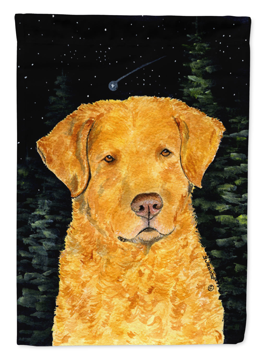 Starry Night Chesapeake Bay Retriever Flag Garden Size.