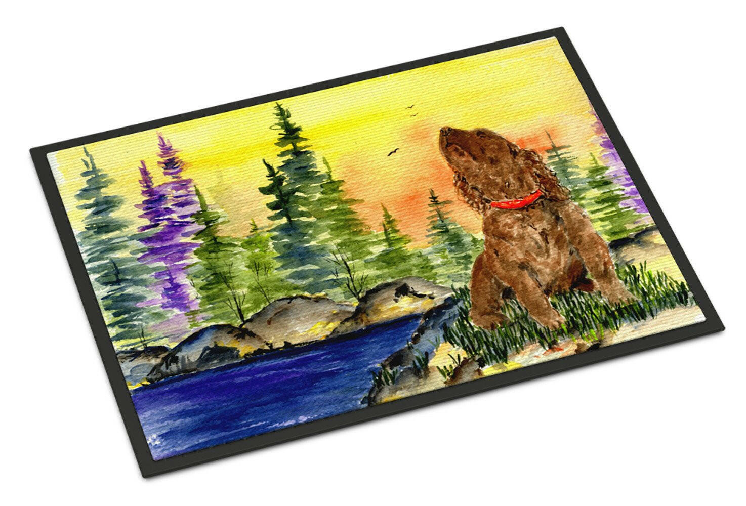 American Water Spaniel Indoor or Outdoor Mat 24x36 Doormat - the-store.com