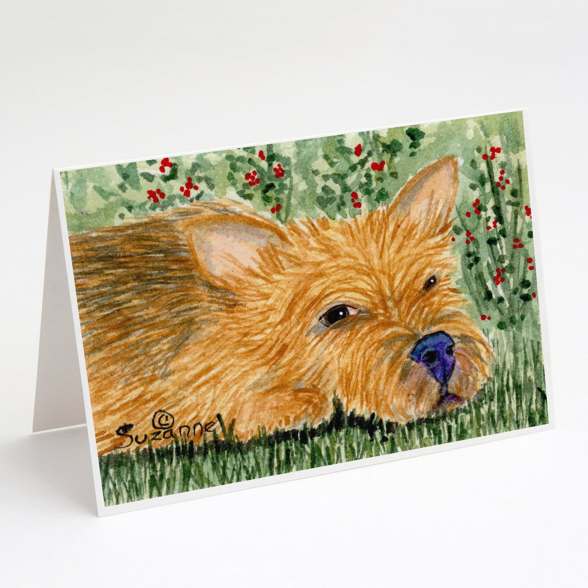 Buy this Norwich Terrier Greeting Cards and Envelopes Pack of 8