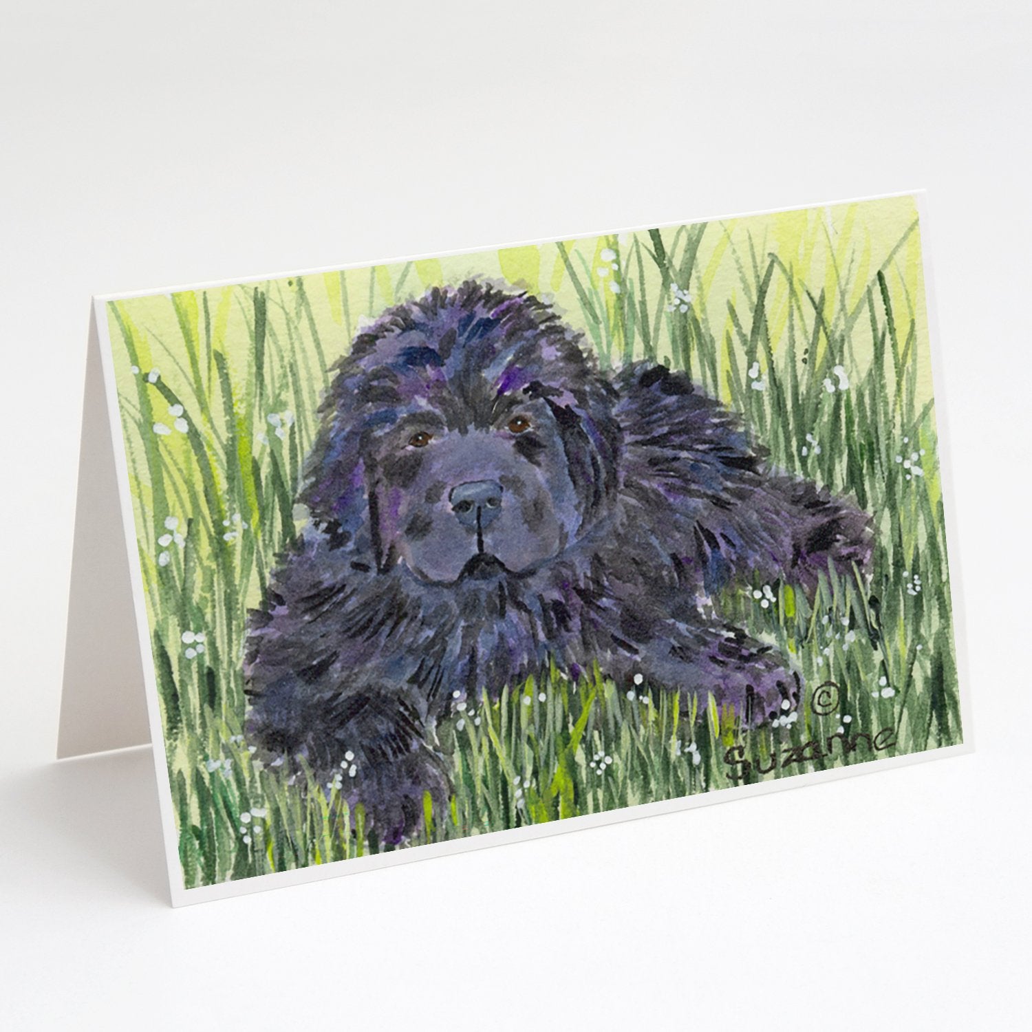 Buy this Newfoundland Greeting Cards and Envelopes Pack of 8