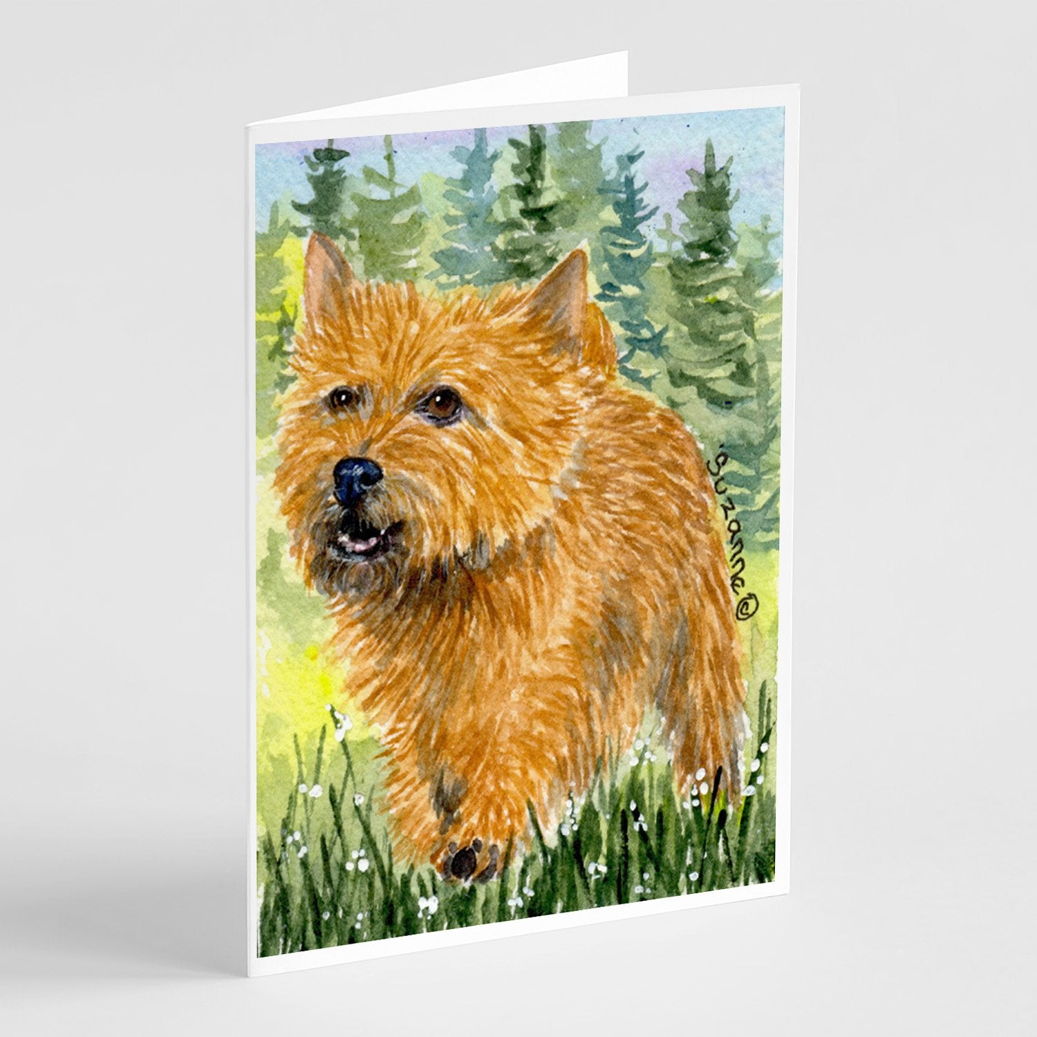 Buy this Norwich Terrier Greeting Cards and Envelopes Pack of 8