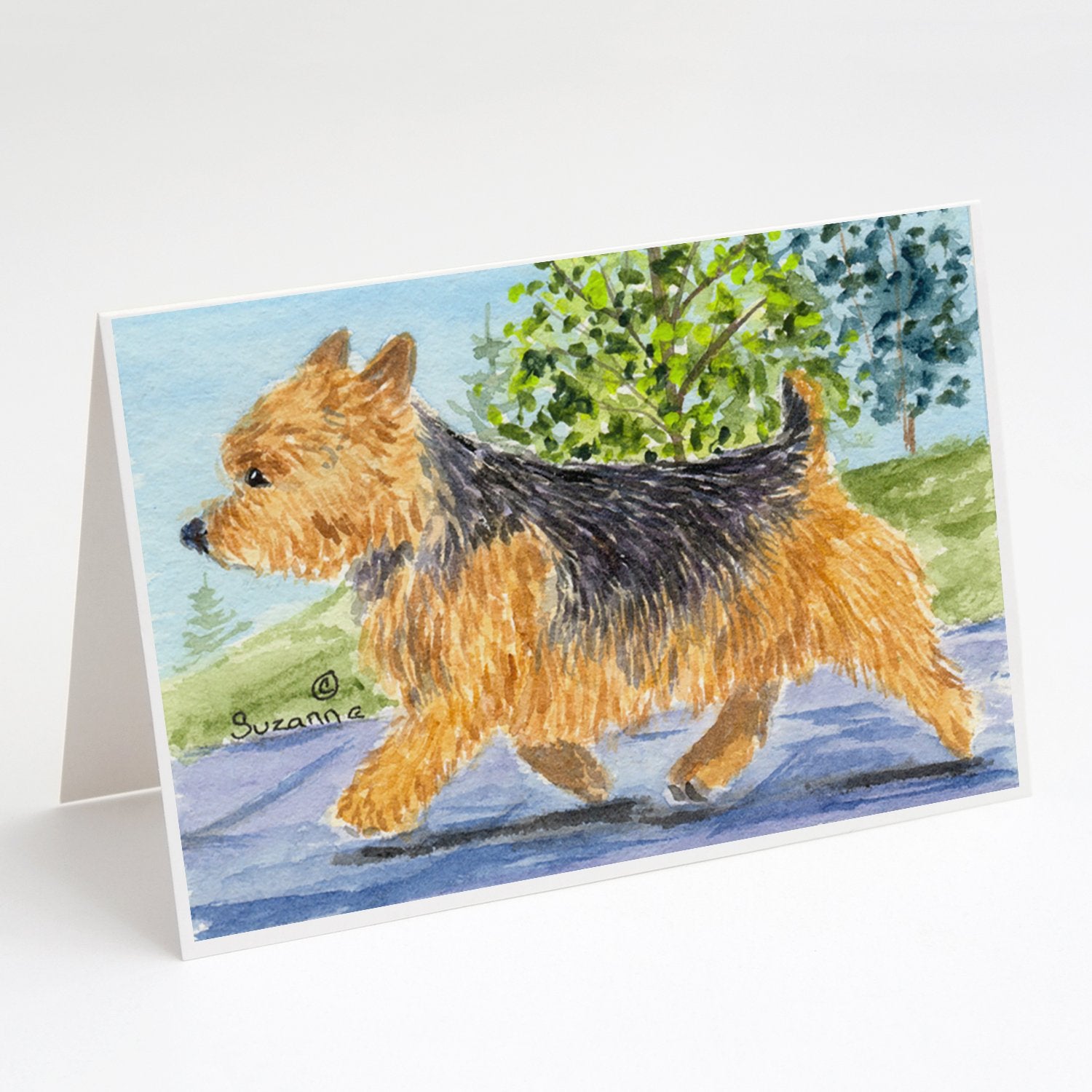 Buy this Norwich Terrier Greeting Cards and Envelopes Pack of 8