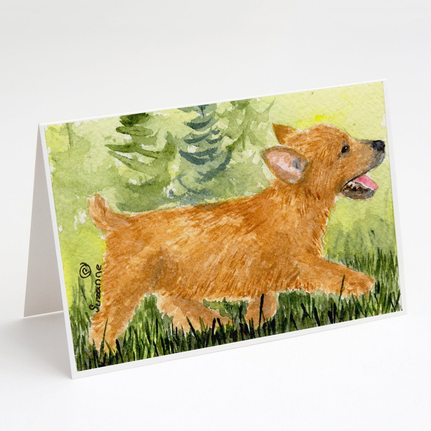 Buy this Norwich Terrier Greeting Cards and Envelopes Pack of 8