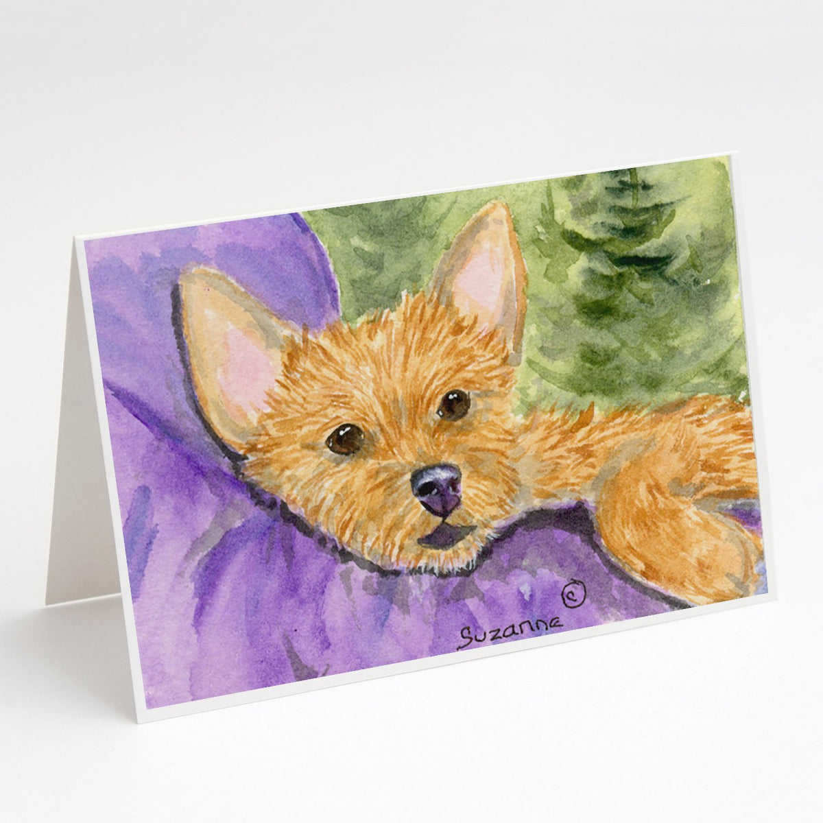 Buy this Norwich Terrier Greeting Cards and Envelopes Pack of 8