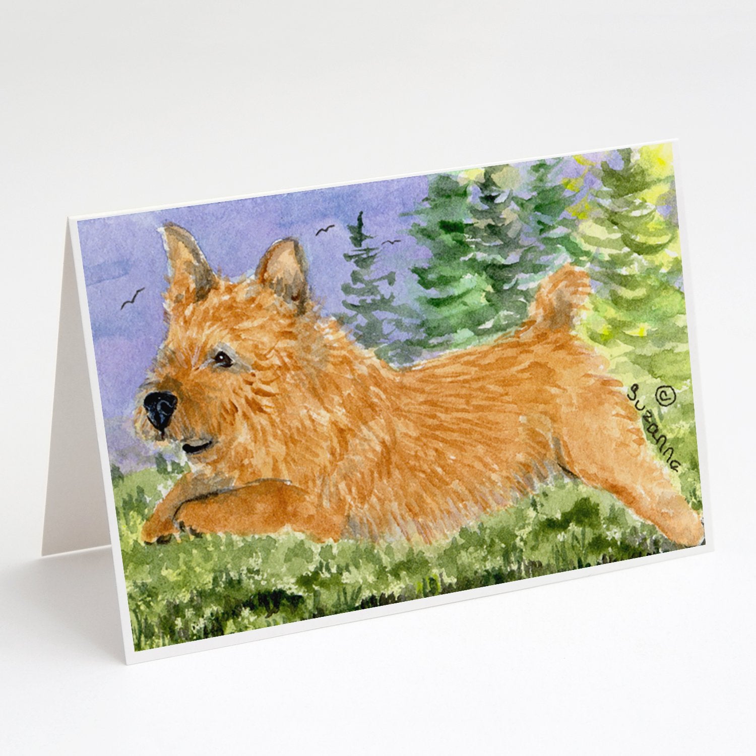 Buy this Norwich Terrier Greeting Cards and Envelopes Pack of 8