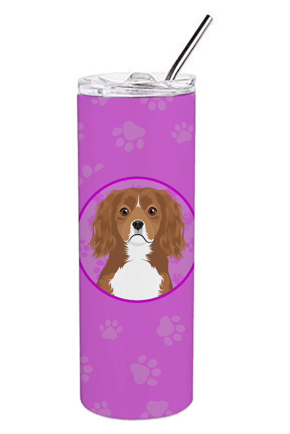 Buy this Cavalier King Charles Spaniel Ruby Stainless Steel 20 oz Skinny Tumbler