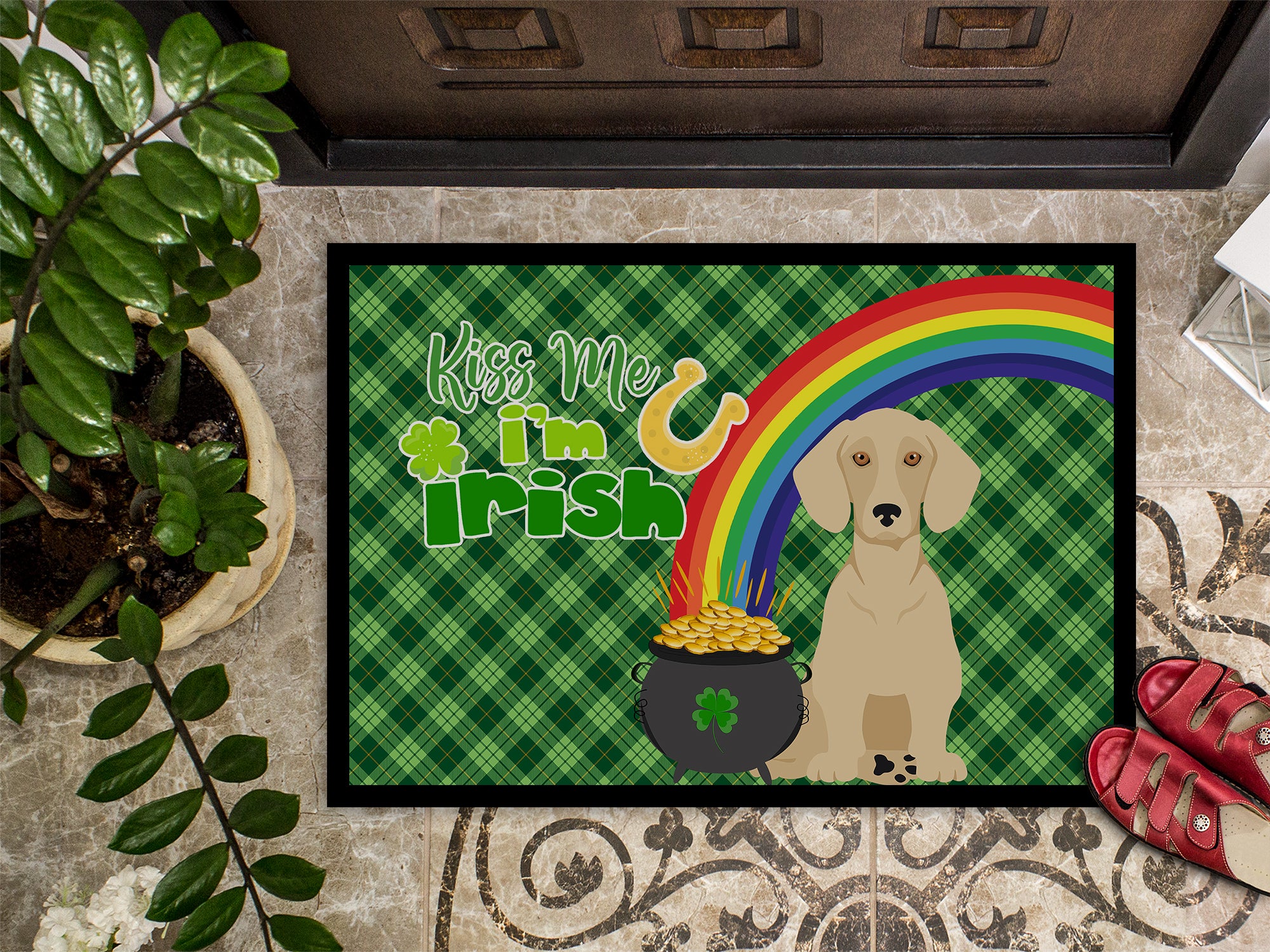 Cream Dachshund St. Patrick's Day Indoor or Outdoor Mat 24x36 - the-store.com