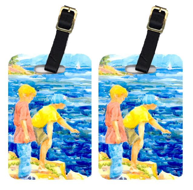 Pair of 2 The Boys at the lake or beach Luggage Tags by Caroline's Treasures