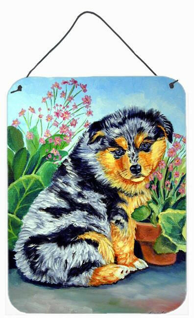 Australian Shepherd Puppy Aluminium Metal Wall or Door Hanging Prints by Caroline&#39;s Treasures